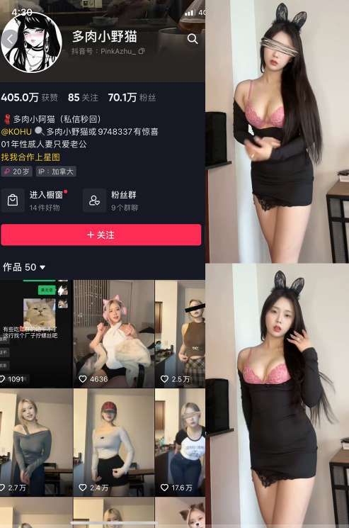 图片[1]-多肉小野猫 38套合集下载-[512MB]-十六楼